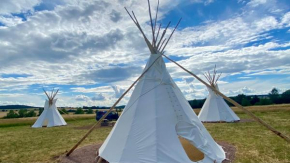 Alpaka-Tipi-Park